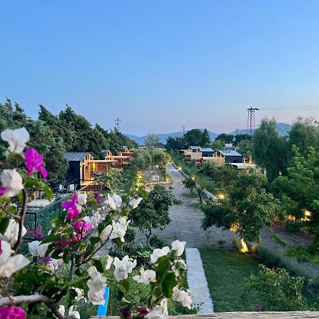 Tiny Datca Hotel Bagian luar foto